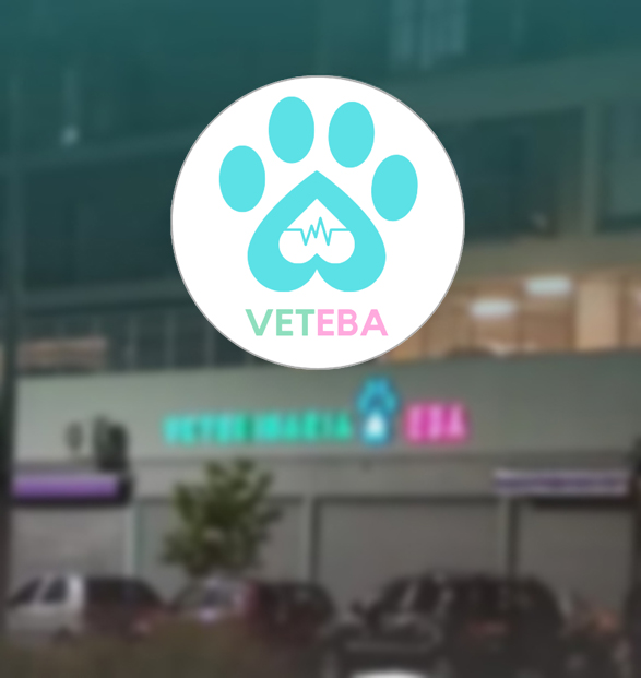 VETEBA Veterinaria